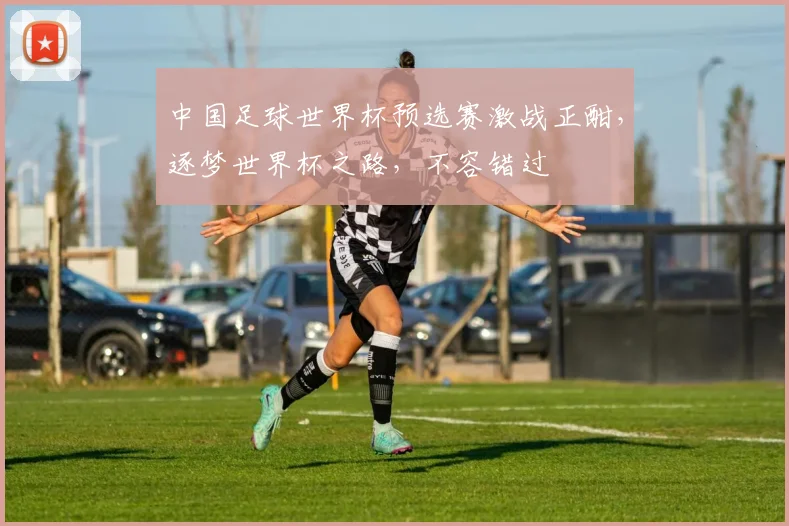 中国足球世界杯预选赛激战正酣，逐梦世界杯之路，不容错过