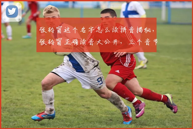 张钧甯这个名字怎么读拼音揭秘，张钧甯正确读音大公开，三个音节轻松学会